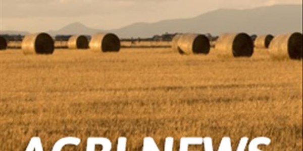 Agri-podcast: PP concludes Ventersburg dairy farmer should be compensated Agri-podcast: PP concludes Ventersburg dairy farmer should be compensated | News Article