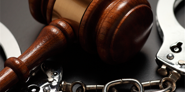 Suspect arrested for dealing protected plants Suspect arrested for dealing protected plants | News Article