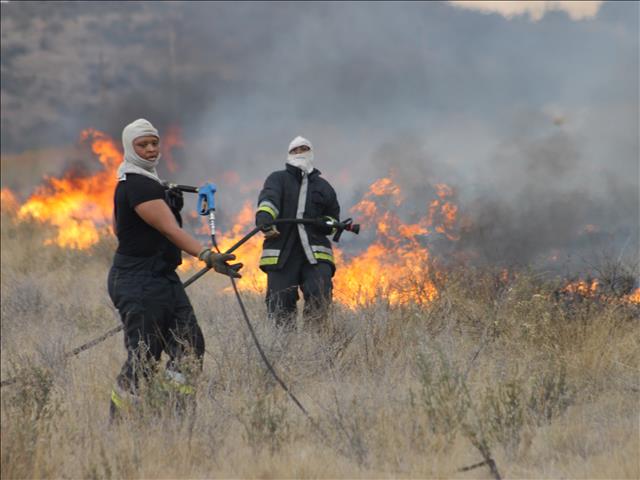 Special Feature: Veld fires in the Free State | News Article