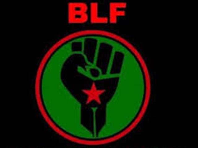 BLF attacks DA over FS Vrede Dairy Farm project  | News Article
