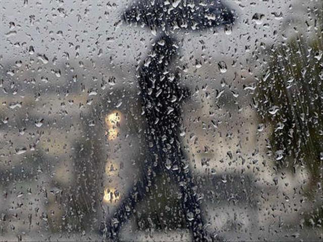 Deputy Water and Sanitation Minister in FS  | News Article