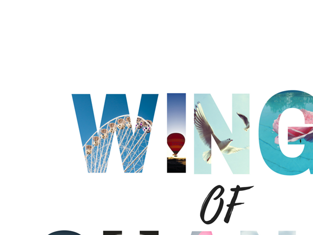 Just Plain Drive: The Wingz of Change  | News Article