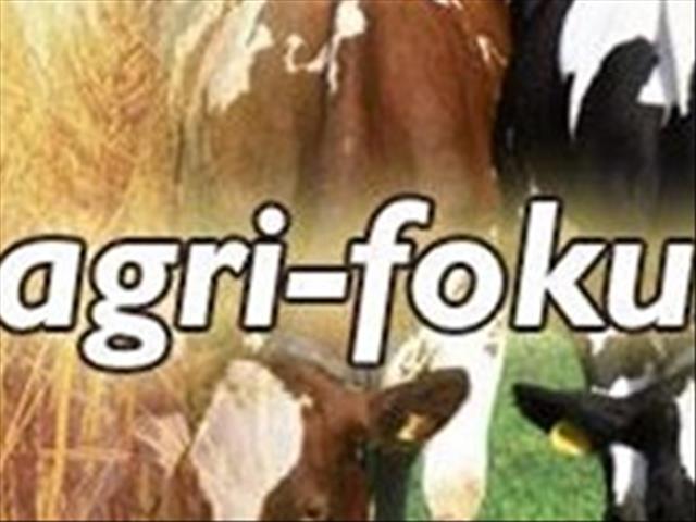 Agri Fokus-podcast: Nuus oor die Nampo Oesdag, waterskaarste en die OB | News Article