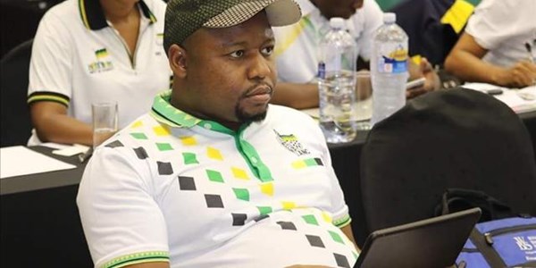 ANC youth leader in FS appointed as MEC; tasked with unemployment  | News Article