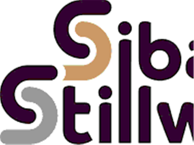 Moloko to step down as Sibanye chairman | News Article