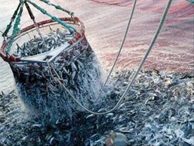 Agri News Podcast: Minister assists small-scale fisheries | News Article