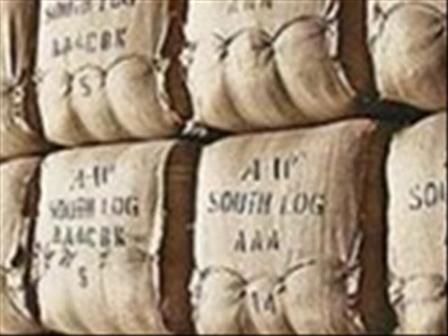 OVK-wolmarkverslag: mark verhandel hoër, terwyl rand verswak | News Article
