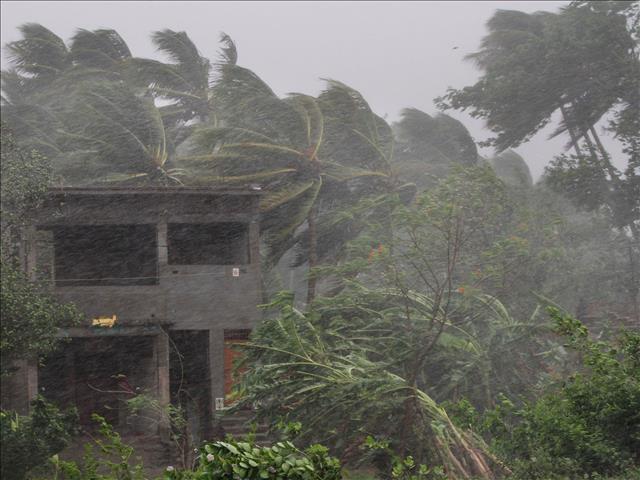 Cyclone Fani makes landfall in eastern India | News Article