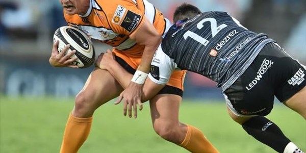 Cheetahs delighted with Pro14 accolades | News Article