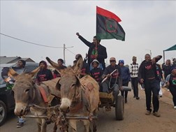 #OFMElectionWatch: BLF leader arrives in Potchefstroom on donkey cart   | News Article