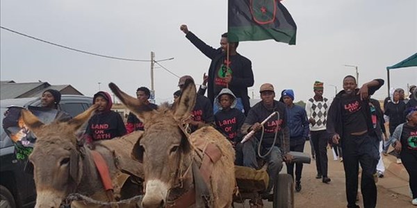 #OFMElectionWatch: BLF leader arrives in Potchefstroom on donkey cart   | News Article