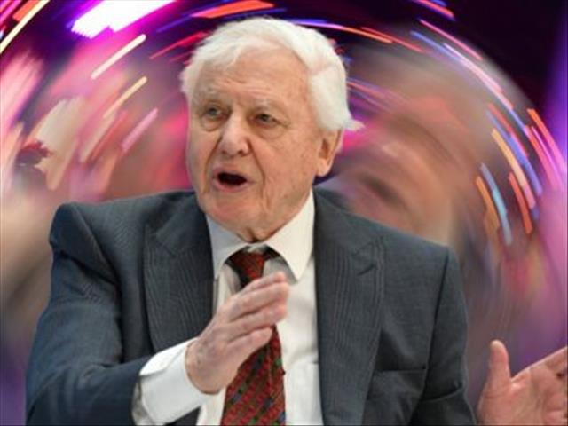 David Attenborough turns do dance music | News Article
