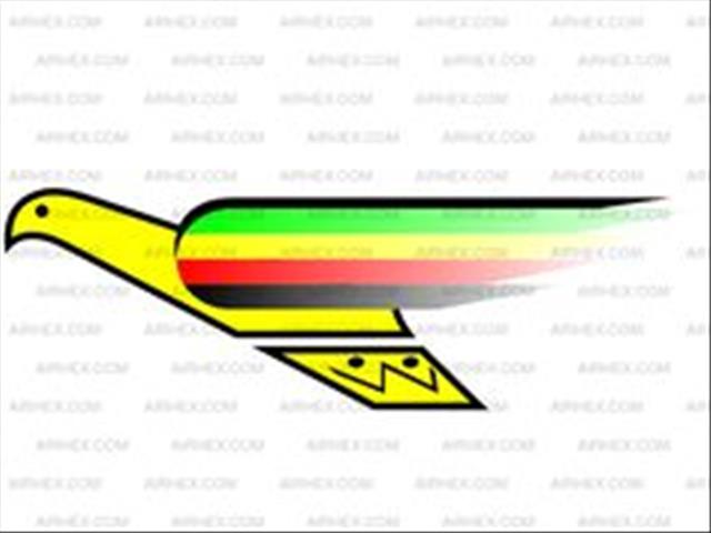 Travel disruptions as Air Zim's only plane goes in for repairs | News Article