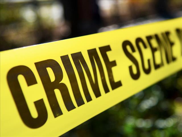 Police indeed working on sudden upsurge in vehicle-related crimes | News Article
