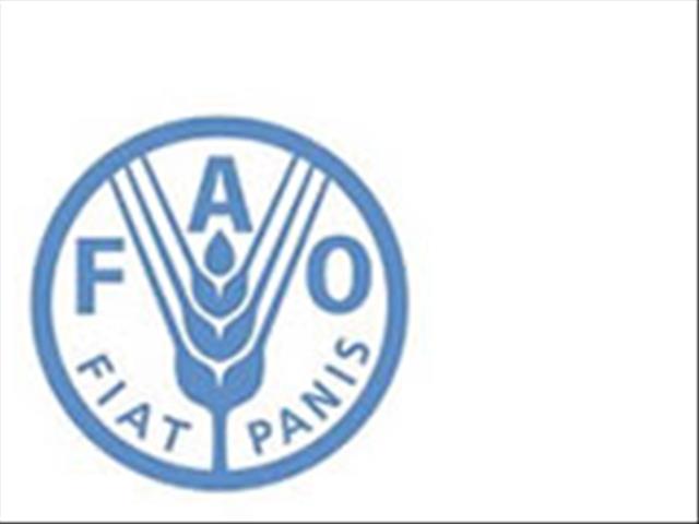 FAO publiseer beleidsdokument oor lewendehawe bedryf se transformasie | News Article