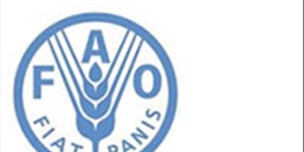 FAO publiseer beleidsdokument oor lewendehawe bedryf se transformasie | News Article