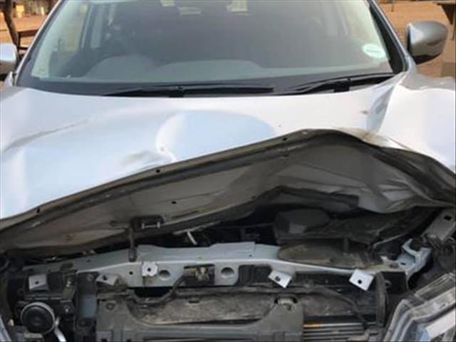 Car wrecked as elephant attacks in Kruger National Park | News Article
