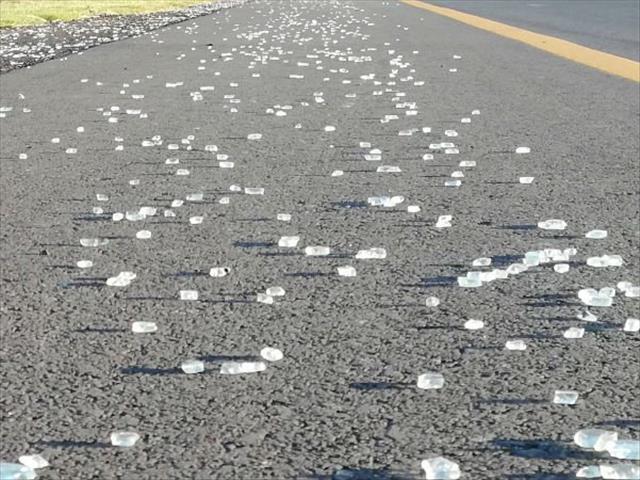 FS police on manhunt for hit-and-run suspect | News Article