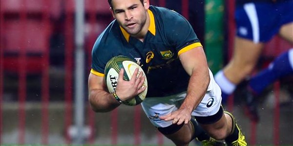 Nine overseas players at Bok alignment camp | News Article