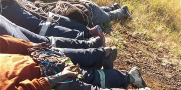 Group of poachers storm KZN game farm in apparent organised ambush | News Article