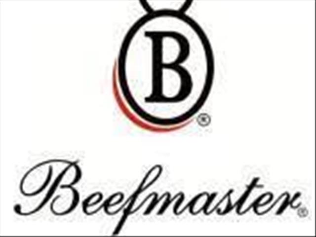 Beefmaster-groep: Geleentheid vir SA beesvleis nadat Afrika-varkpes in China uitbreek  | News Article