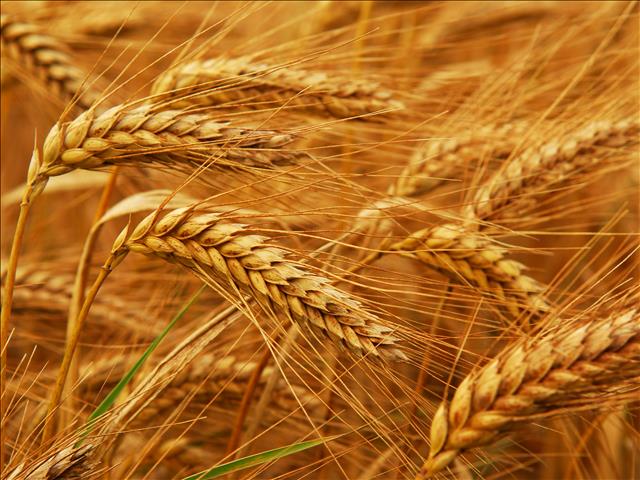 Agri-podcast: Agriculture off to a bad start this year | News Article