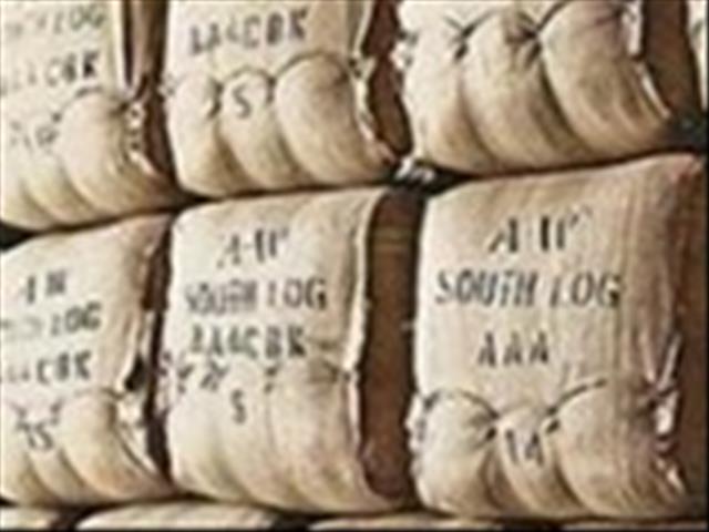 OVK-wolmarkverslag: Wolmark verhandel onveranderd | News Article