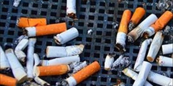 Call to make cigarette butts biodegradable | News Article