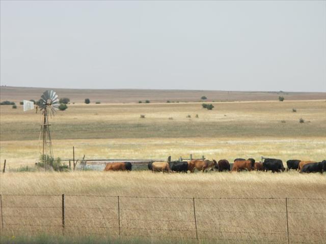 Kenner gee oorsig van landboutoestande in die NW | News Article