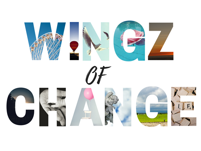 Just Plain Drive: The Wingz of Change  | News Article
