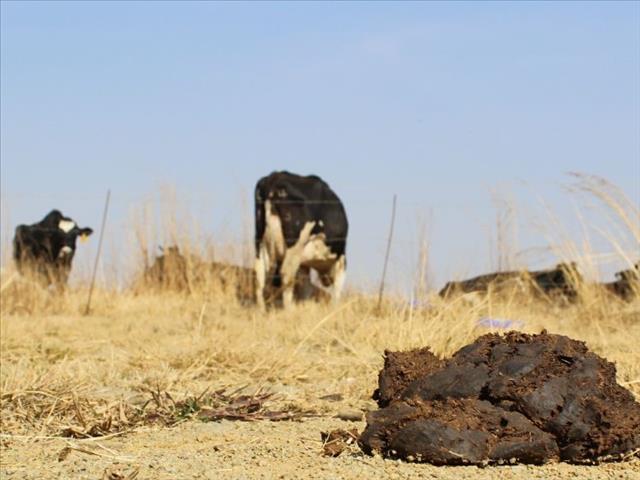 Landbounuus-podcast: Vrede-plaas in Zondo-visier  | News Article