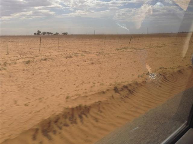 Agri News Podcast: Drought adds to NC woes  | News Article