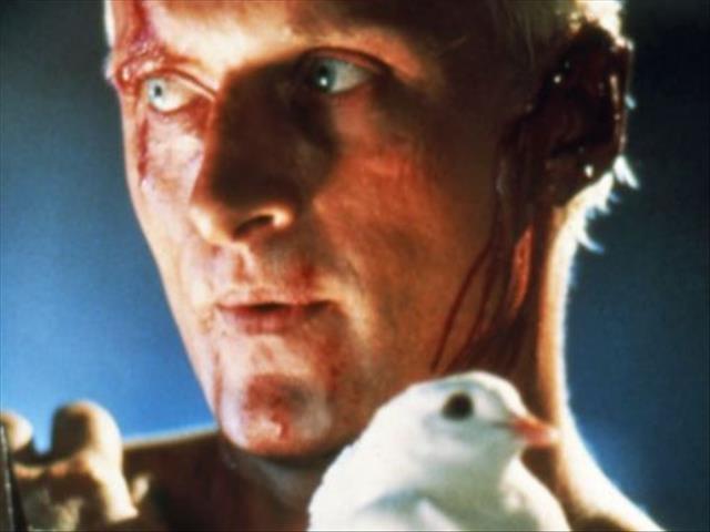Blade Runner actor dies aged 75 | News Article
