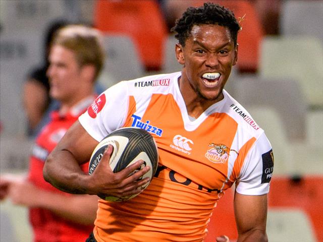 Barry to return to the Cheetahs | News Article