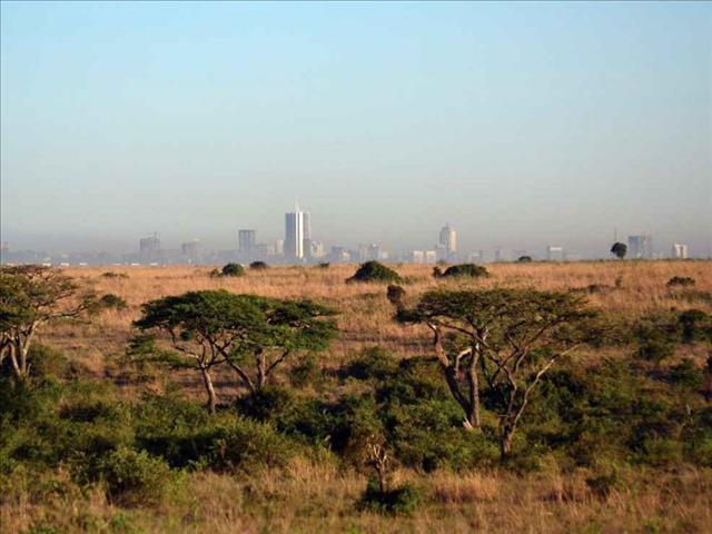 Kenya to include intersex in census | News Article