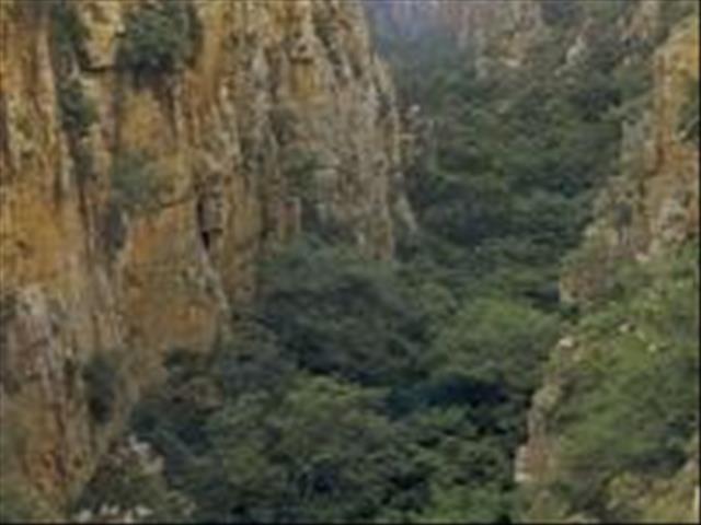 Woman airlifted following Magaliesberg fall | News Article