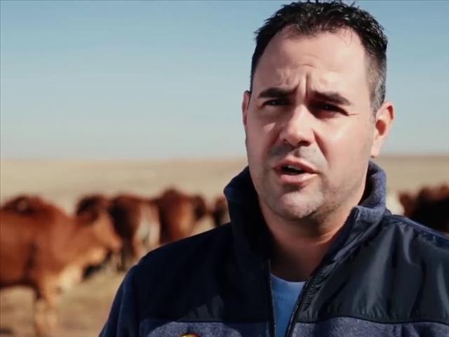 Senwes Grainlink Agrinuus: Boran-telersgenootskap goed gevestig in SA | News Article