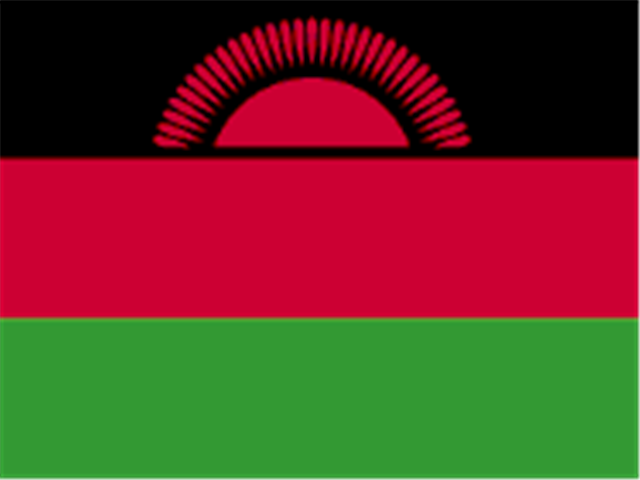 Malawians demand First Lady to refund trip's costs | News Article