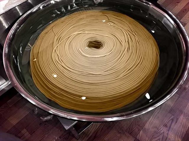 Did You Know Fact! | News Article