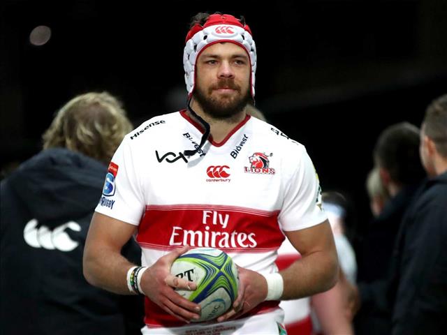 Whiteley may join the Lions to Bloem | News Article