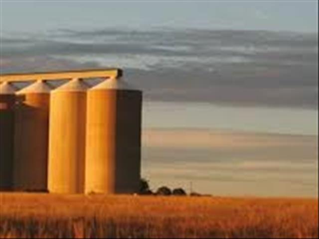 Senwes Grainlink: Hier is jou jongste Safex-pryse | News Article