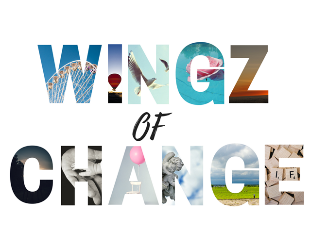 Just Plain Drive: The Wingz Of Change  | News Article