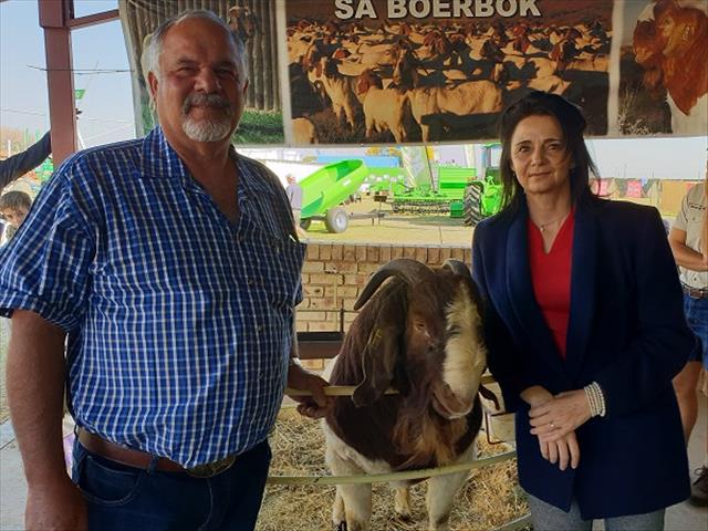 Boerbokbedryf is winsgewend, sê bobaas-teler | News Article