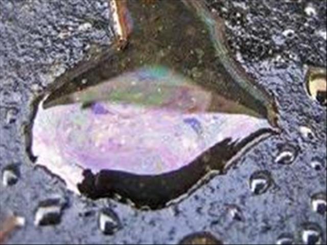 SA oil spill 'moving offshore' | News Article