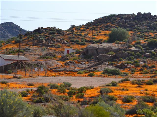 Namaqualand 'in need of English medium schools' | News Article