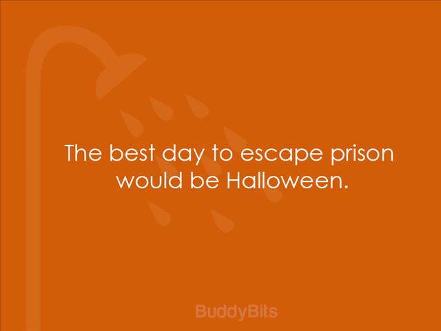 -TBB- Shower Thoughts: We're Back baby it has been a while! | News Article