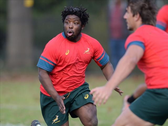 Ntubeni and Louw called up to Springbok squad  | News Article