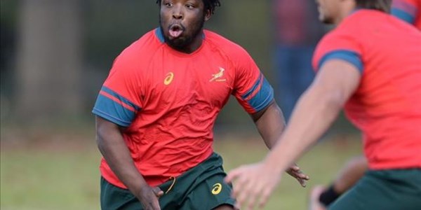 Ntubeni and Louw called up to Springbok squad  | News Article