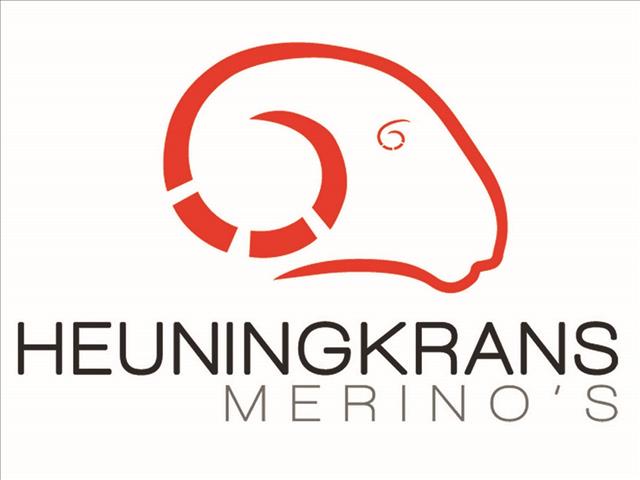 Goeie pryse word behaal op Heuningkrans Merino-veiling | News Article