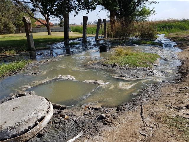 Sewage polluted streets plague Matjhabeng  | News Article